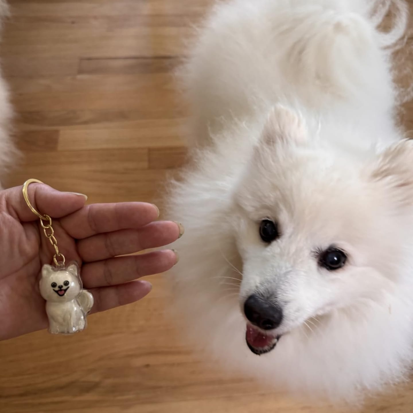 Customer photo review of Llavero para guardar pelo de mascota