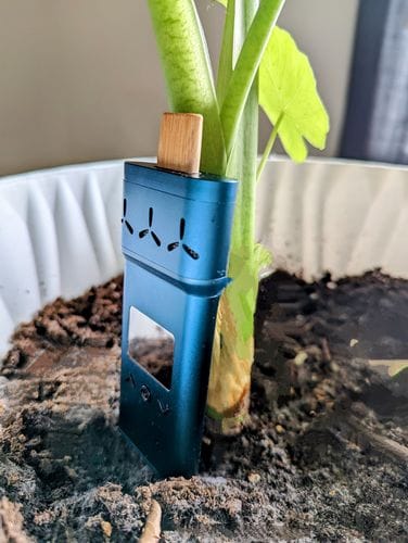 Customer photo review of AirVape X Royal Edition