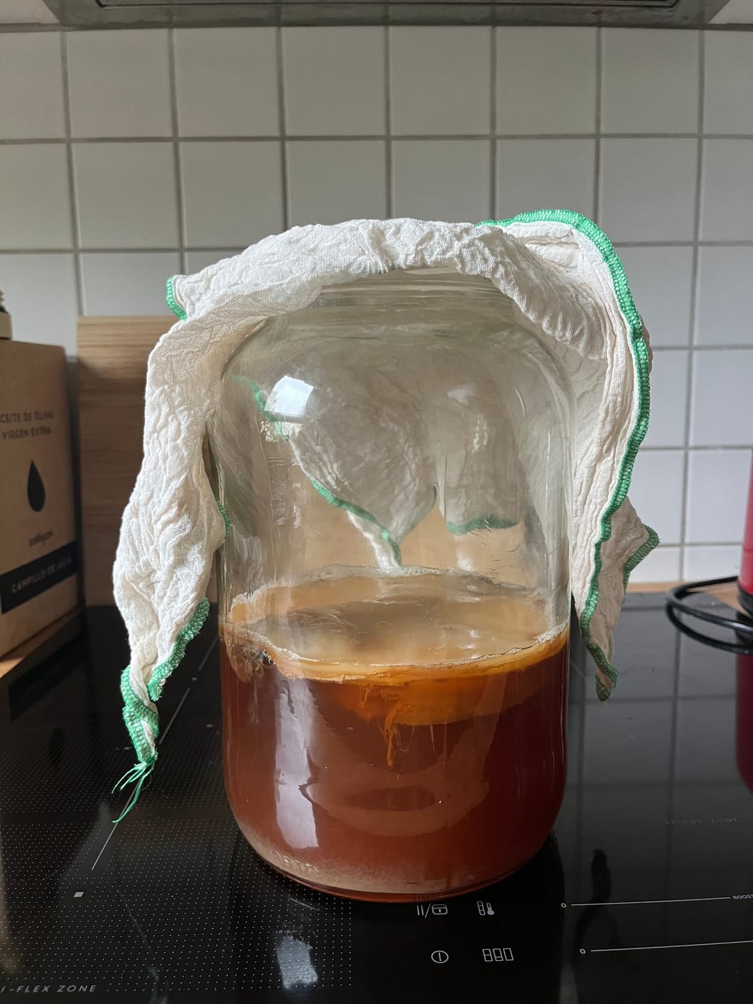 Customer photo review of BIO Kombucha Scoby + Ansatzflüssigkeit