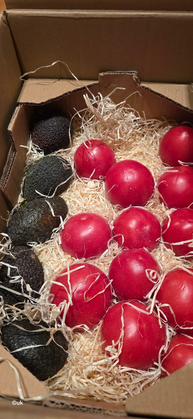 Customer photo review of Tomaten Bio original "Berner Rose" regional aus der Reichenau