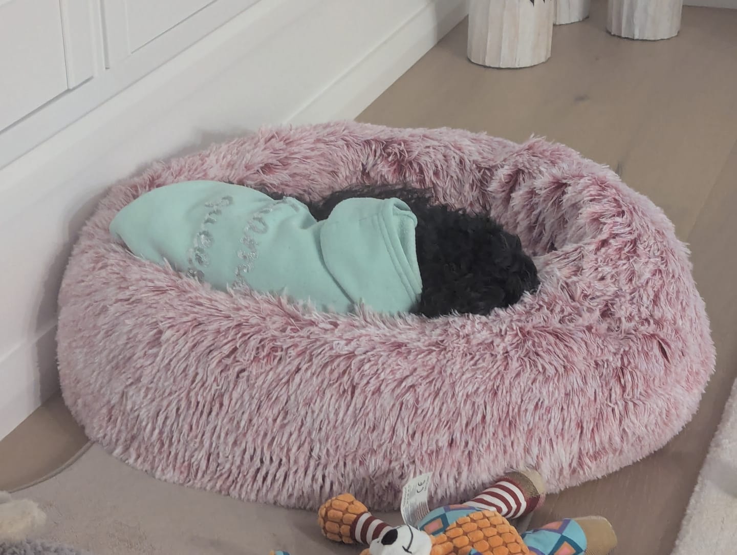 Customer photo review of Calming Pet Bed with Removable Cover
