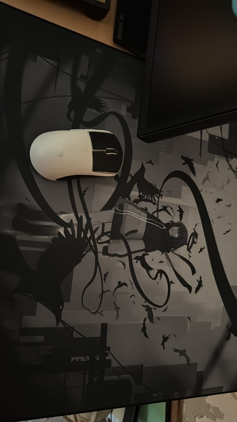 Customer photo review of Wraith Ace Series [Ravenfall] Limited Edition Poron Mousepad