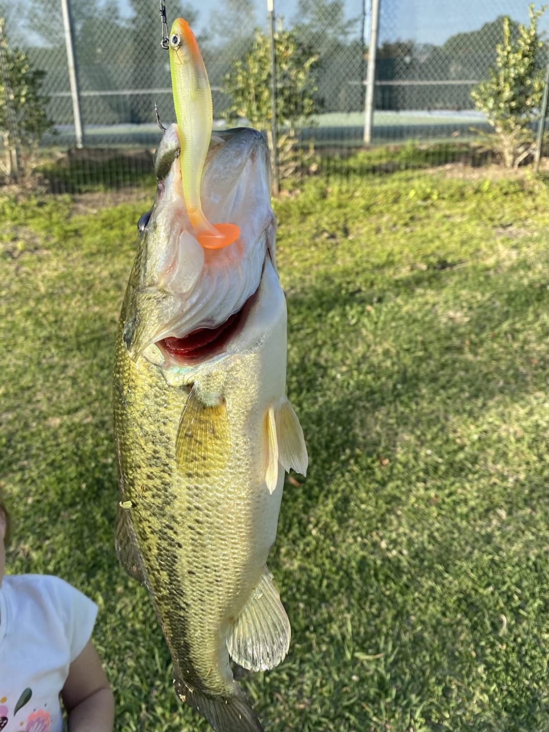 Customer photo review of Shadtale Soft Fishing Lures | BKK Hooks | Paddle Tail Swimbait | For Bass & Trout & Crappie & Walleye