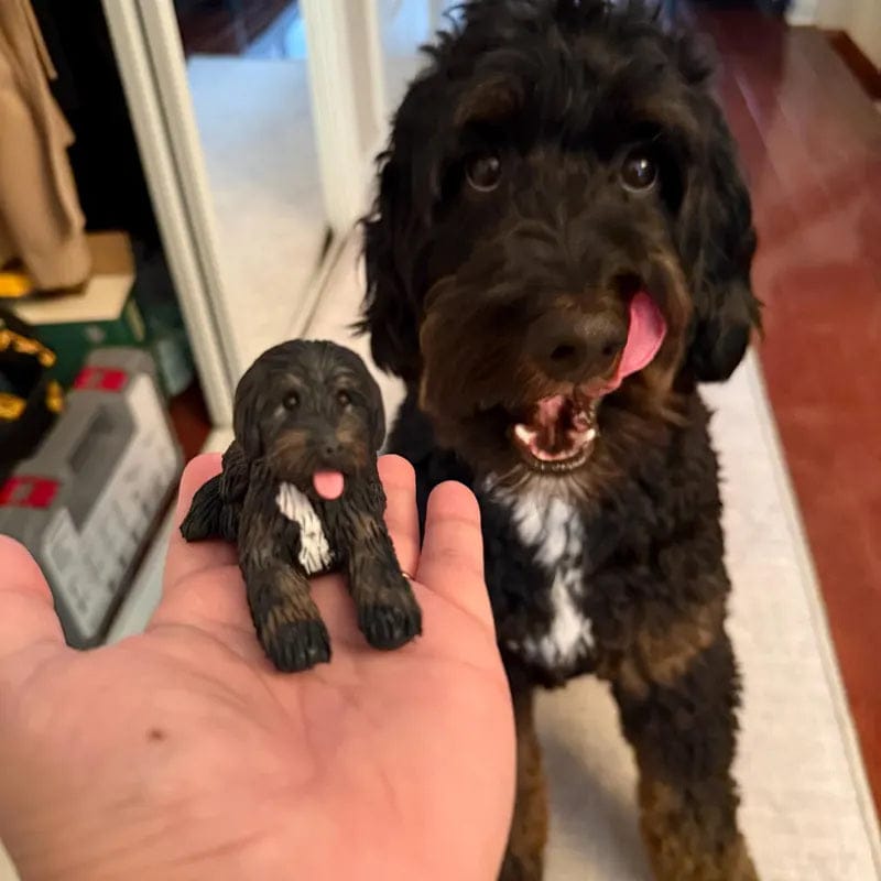 Customer photo review of Custom Handmade Polymer Clay Pet Figurine