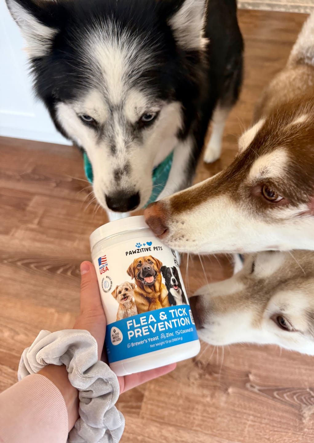 Customer photo review of Flea and Tick Prevention for Dogs – 120 Soft Chews