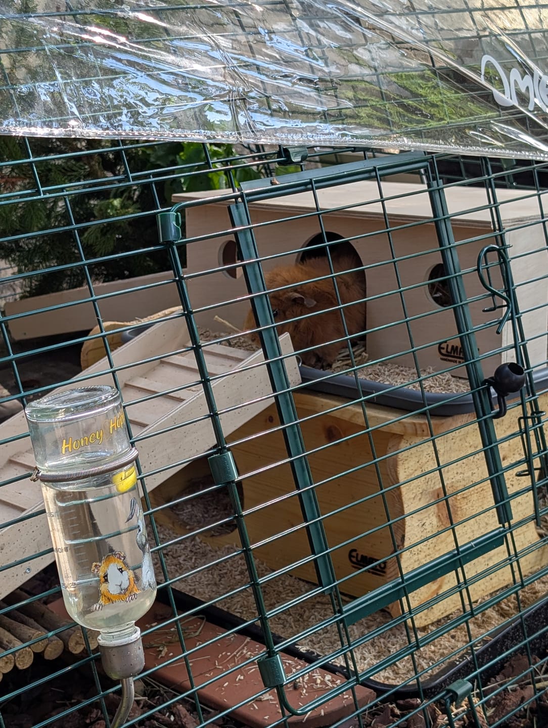 Customer photo review of Elmato Freddy´s Meerschweinchenstation, 3 Eingänge