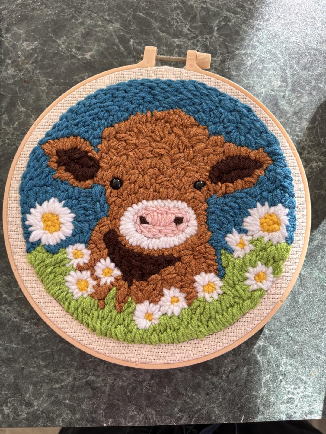 Customer photo review of Punch Needle Kit - Highland Cow and White Daisies