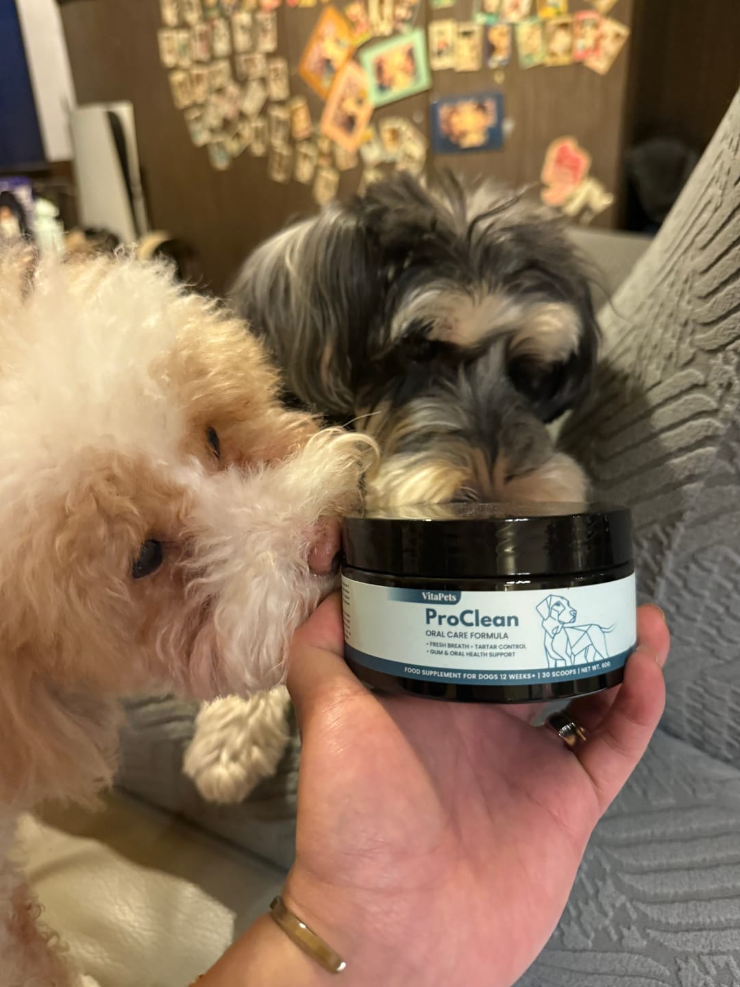 Customer photo review of ProClean™狗狗天然潔牙護齒配方