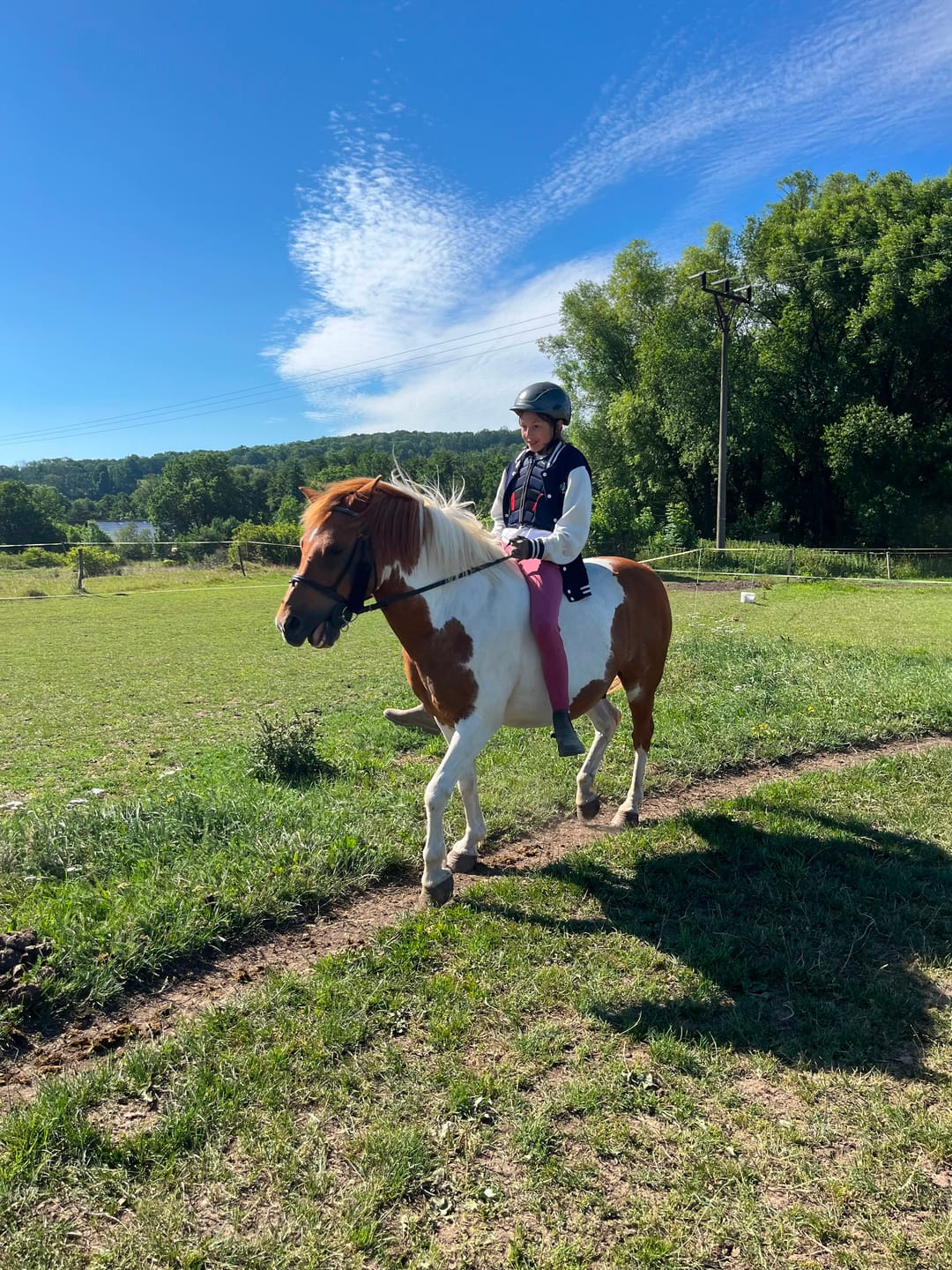 Customer photo review of Hobby Horse based on your photo