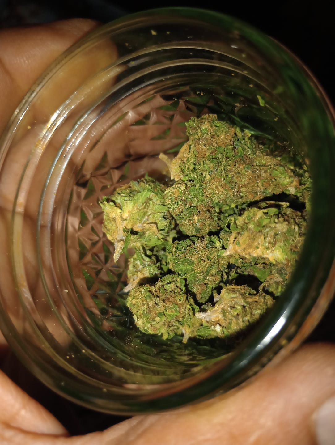 Customer photo review of Gelato Bomb Greenhouse THCA