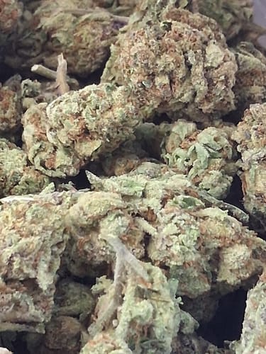Customer's White Rhino THCA flower, showing a close-up of dense, light green, trichome-covered buds.