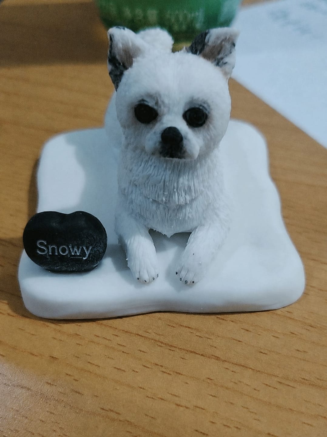 Customer photo review of Custom Handmade Polymer Clay Pet Figurine