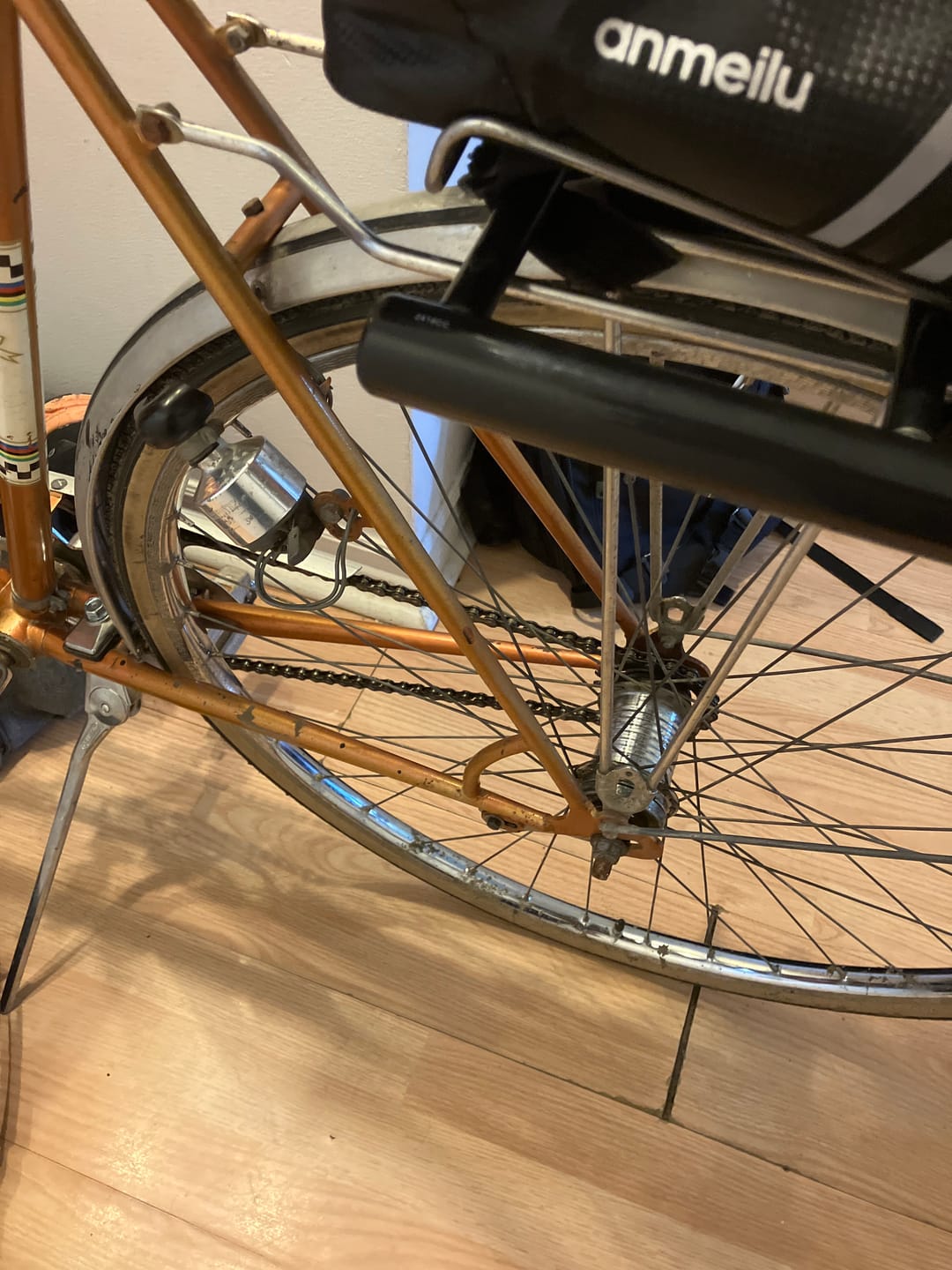 Customer photo review of Panaracer Pasela PT Tire