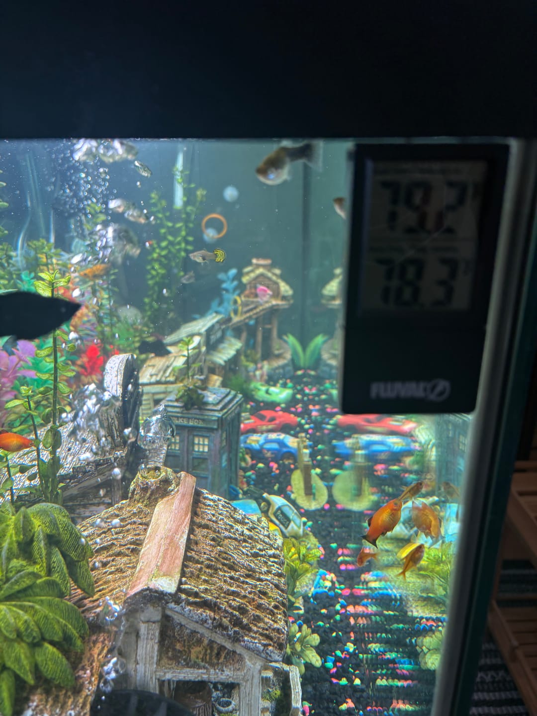 Customer photo review of Fluval 2-in-1 Digital Aquarium Thermometer