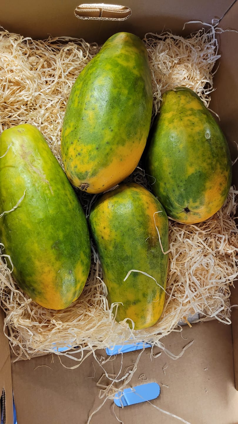 Customer photo review of Papaya von Julian 3kg Box