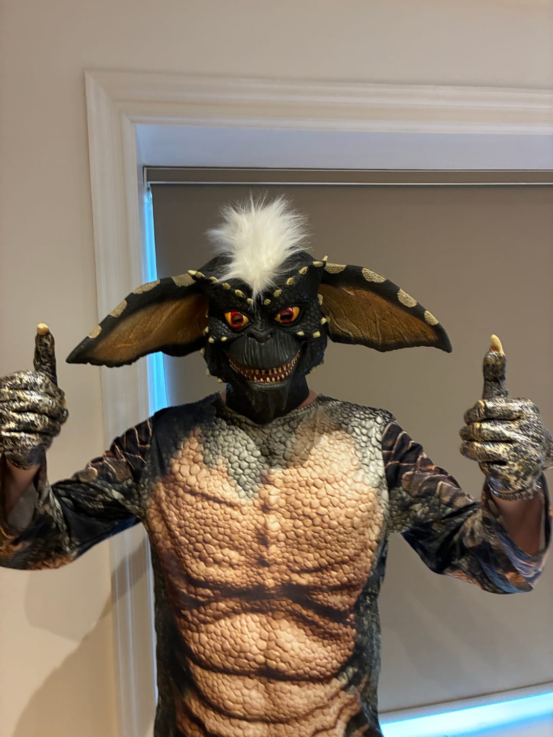 Customer photo review of Deluxe Gremlins 2 Stripe Mask