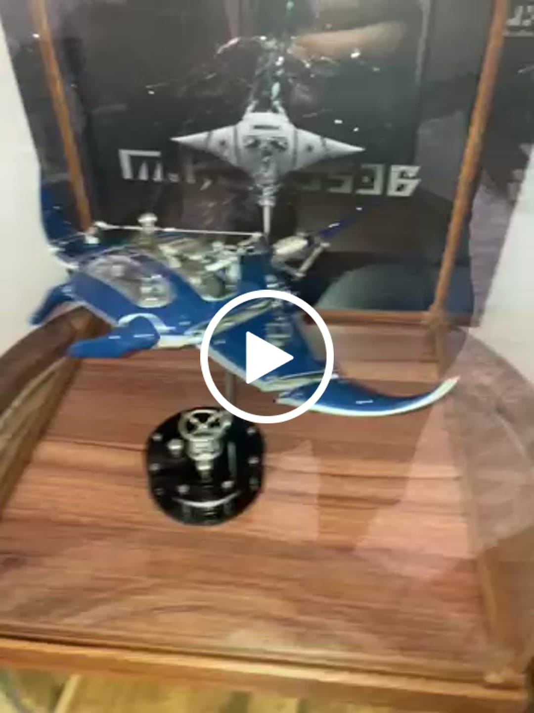Customer video review of Rokrgeek Innovative Manta Ray Mechanical 3D Metal Model