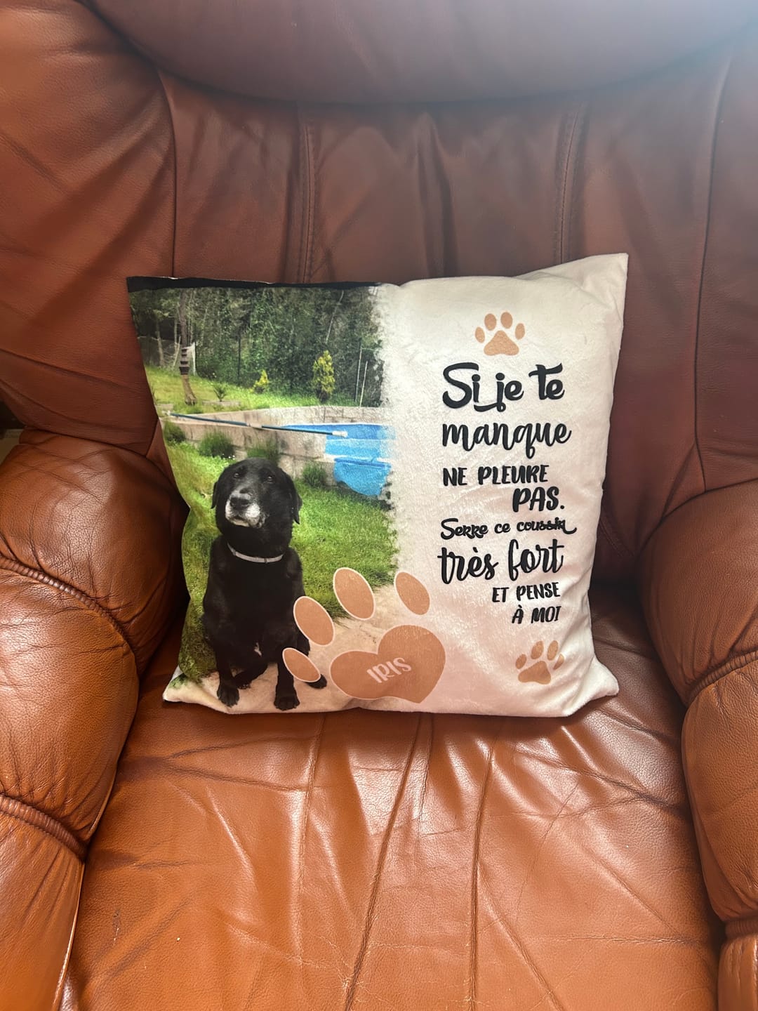 Customer photo review of Si je te manque - Coussin personnalisé