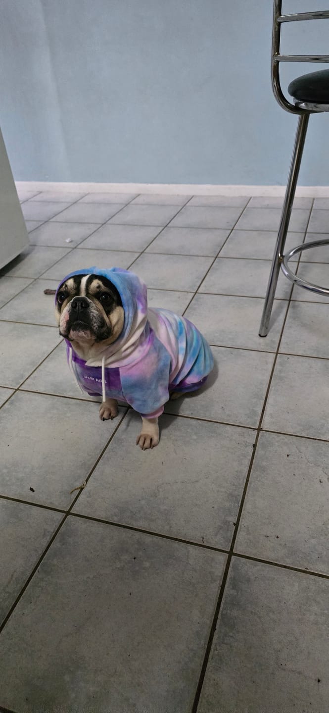 Customer photo review of Velvet Dog Hoodie - 90s Retro