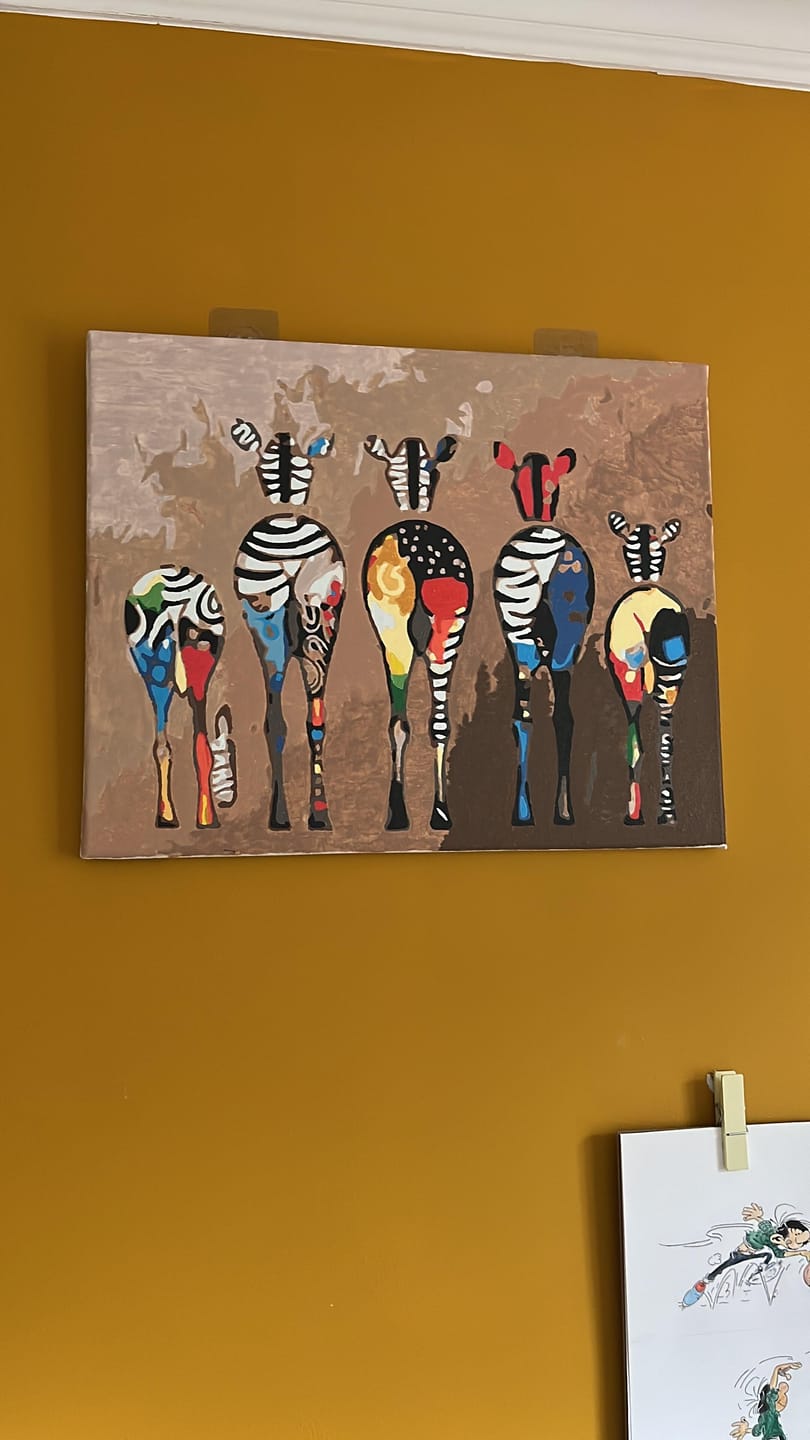 Customer photo review of Zèbres de dos