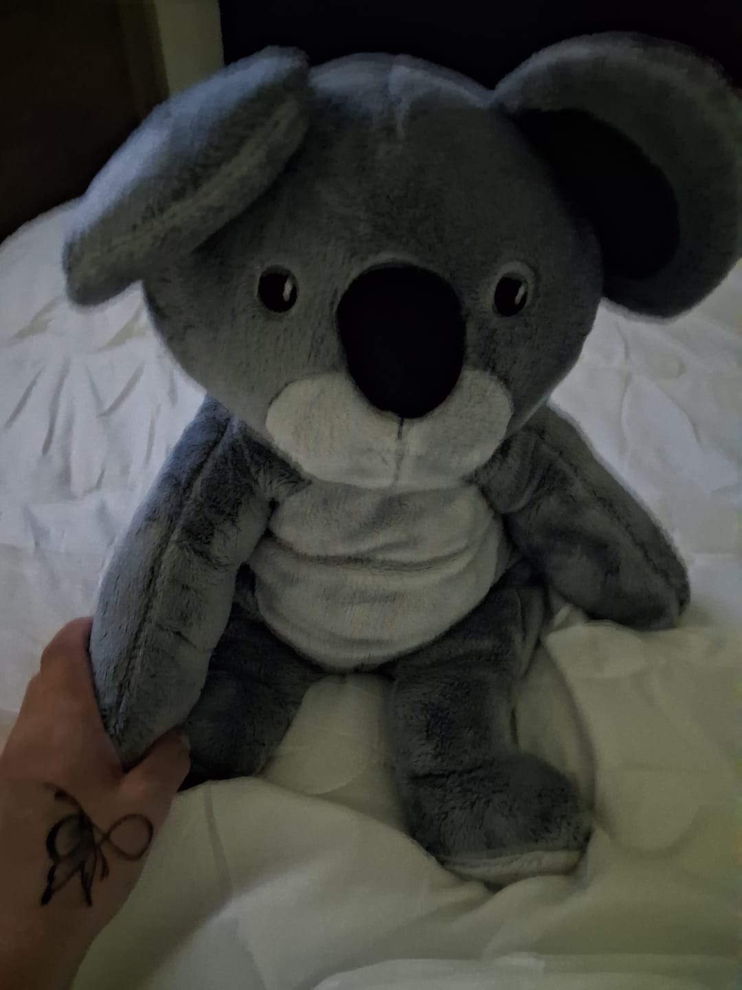 Customer photo review of Lotgenootje Koala 2kg