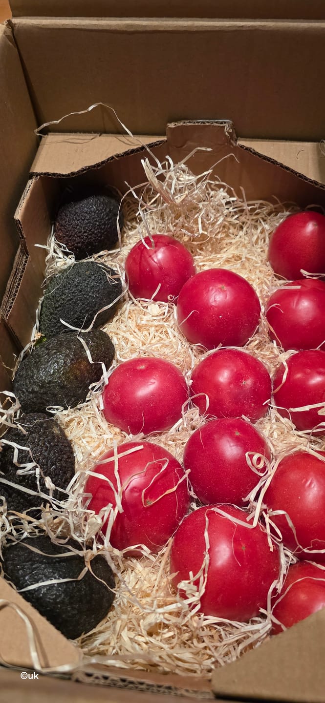 Customer photo review of Avocado Margarida (Stk. ca. 500g)