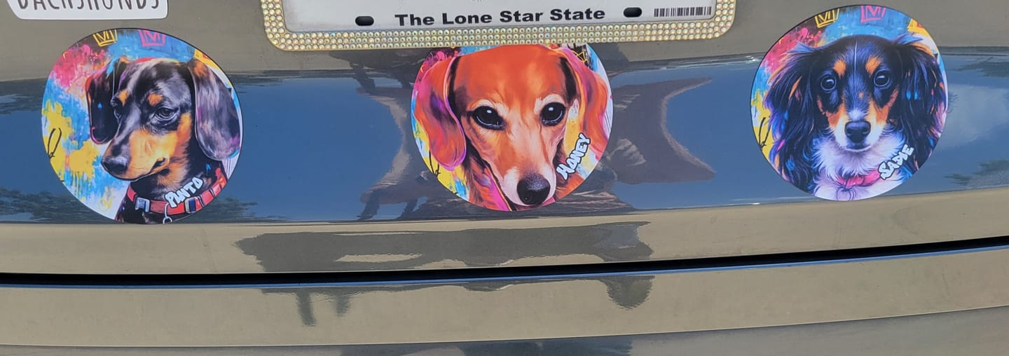 Customer photo review of Graffiti - Personalized Car Magnet