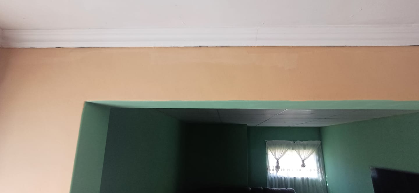 Customer photo review of Buildkote 20lt - PVA Acrylic Interior & Exterior Paint + Free Roller