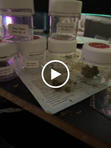 Customer video review of THC-A 30% Flower Do-Si-Dos x Gelato