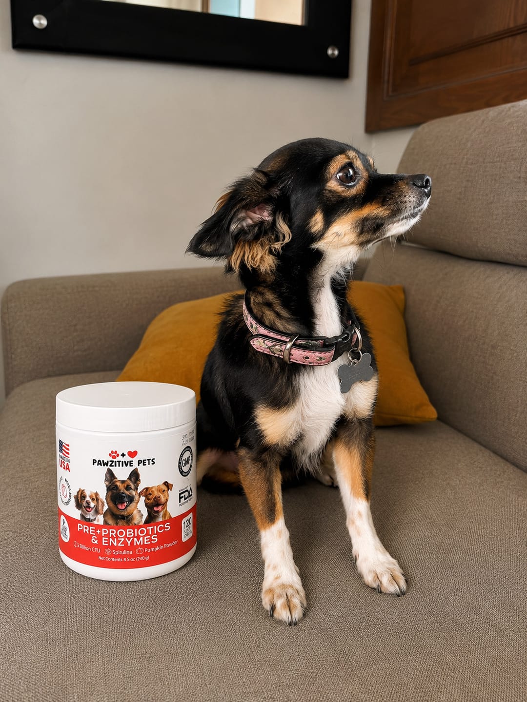 Customer photo review of Pre+Probiotics for Dogs Digestive Health – 120 Soft Chews (Beef Flavor)