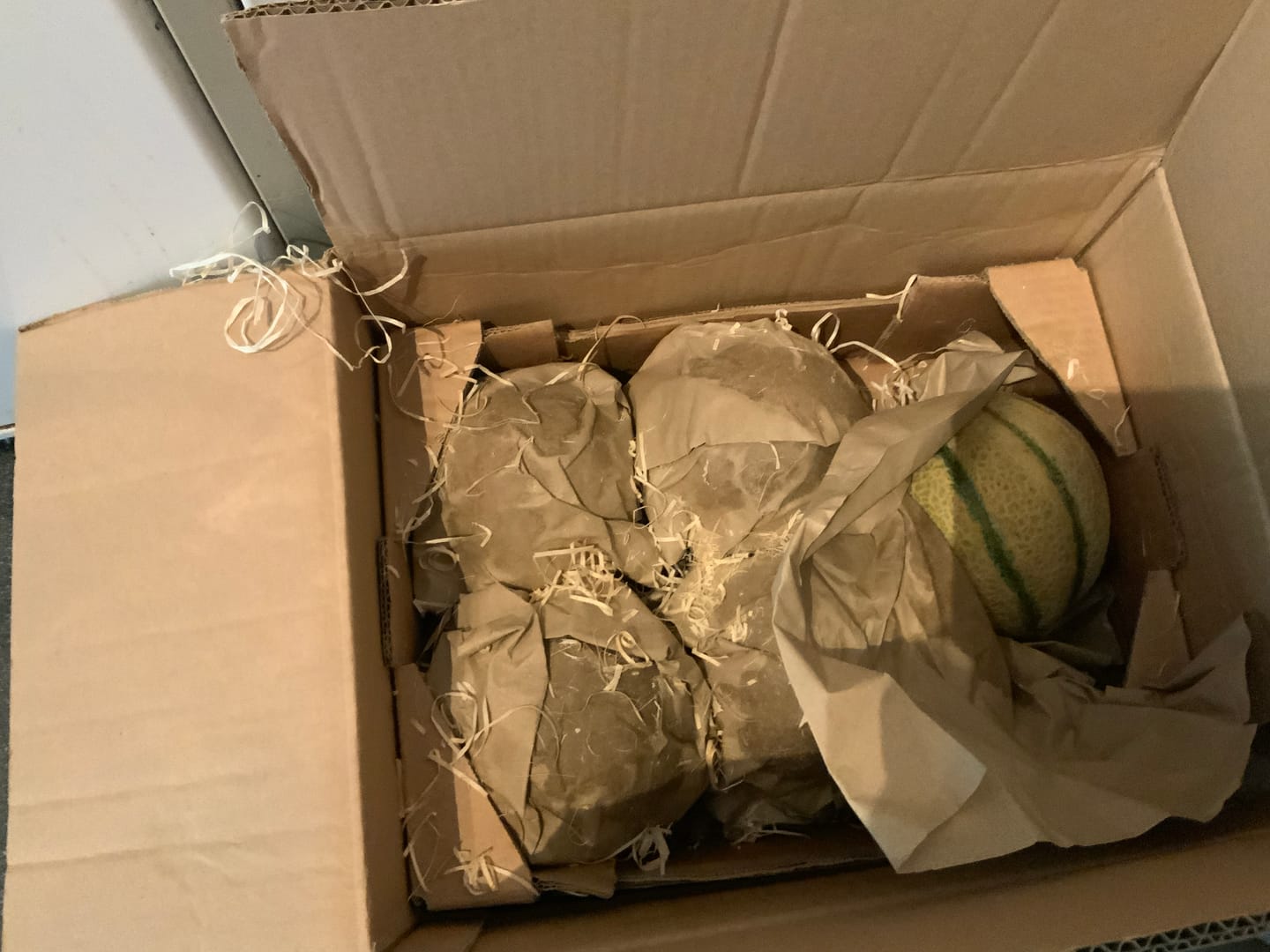 Customer photo review of Honigmelone Cantalupo Bio demeter