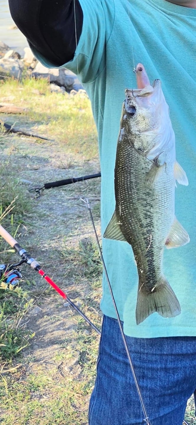 Customer photo review of Shadtale Soft Fishing Lures | BKK Hooks | Paddle Tail Swimbait | For Bass & Trout & Crappie & Walleye
