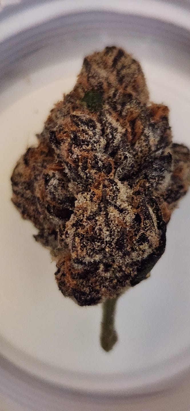 Customer photo review of Moonbow #75 17 Grams
