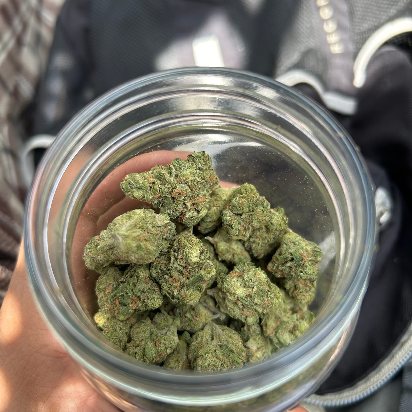 Customer photo review of KIND - Blue Dream - 28 Grams - Sativa