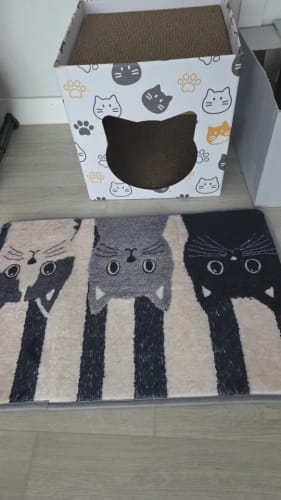 Customer photo review of Cat Print Doormat - Waterproof Soft Floor Rug