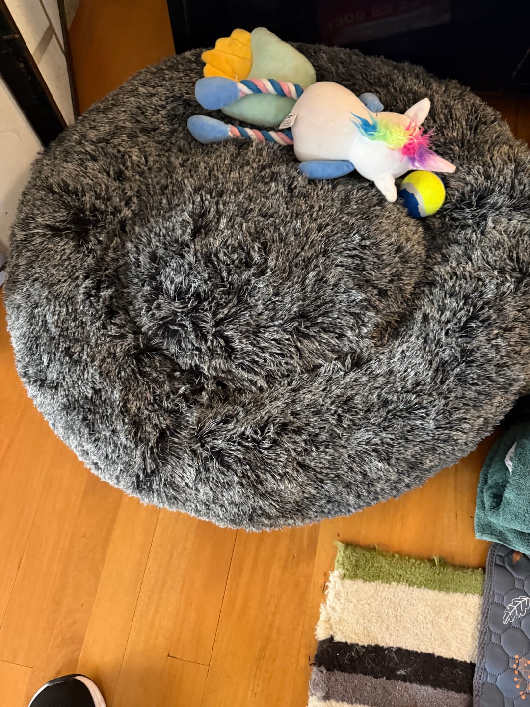 Customer photo review of Premium Calming Pet Bed with Removable Cover