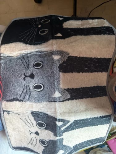 Customer photo review of Cat Print Doormat - Waterproof Soft Floor Rug