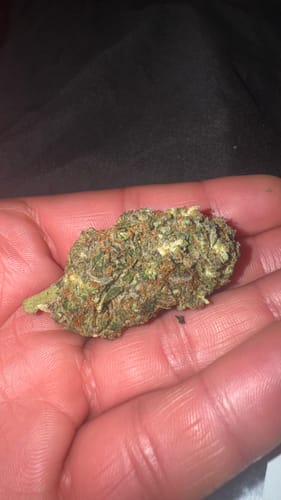 Customer's hand holding a dense, green Happy Weedz THC-A flower bud with orange hairs.
