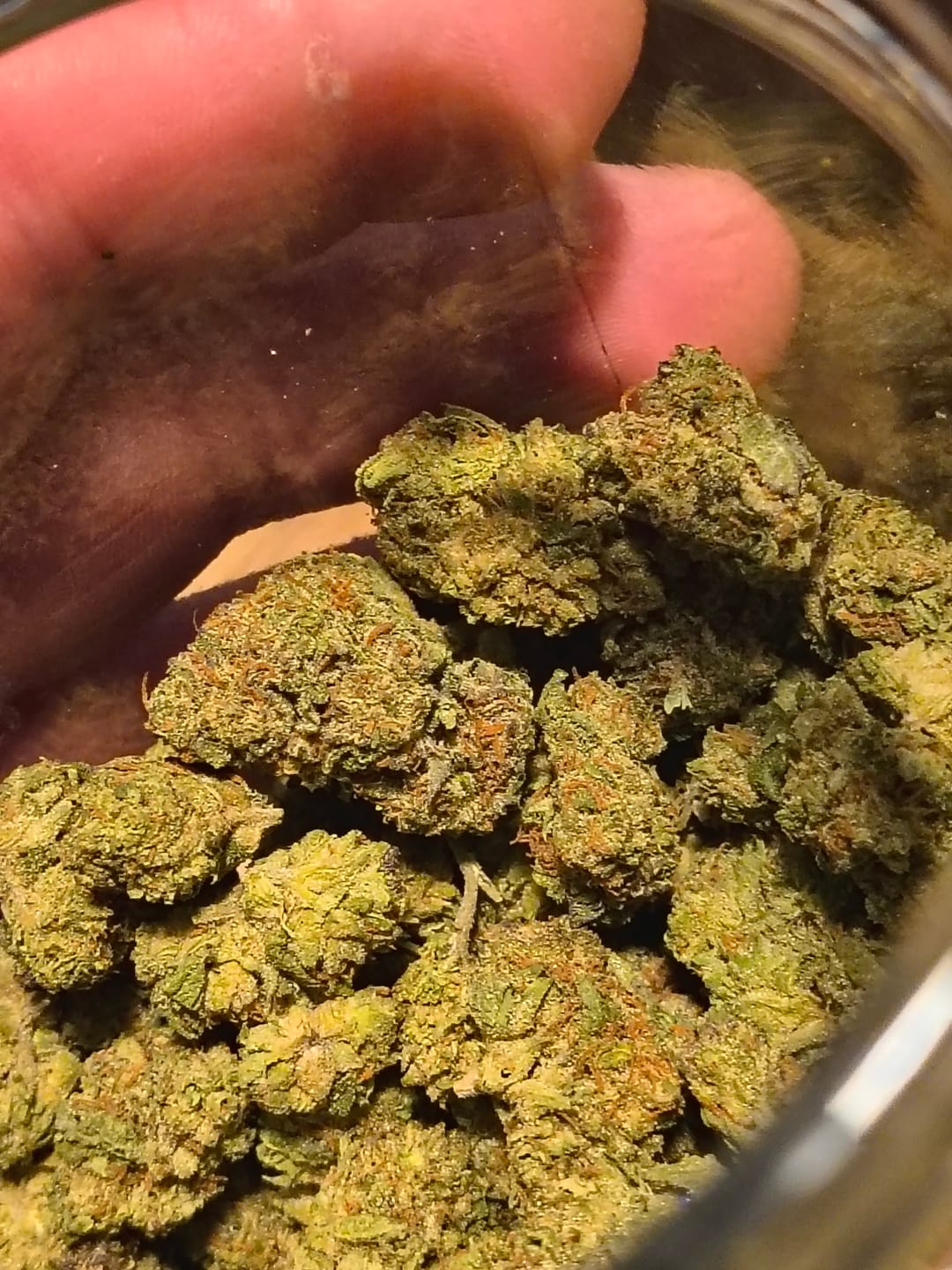 Customer photo review of Biscotti THCA Flower (Premium)