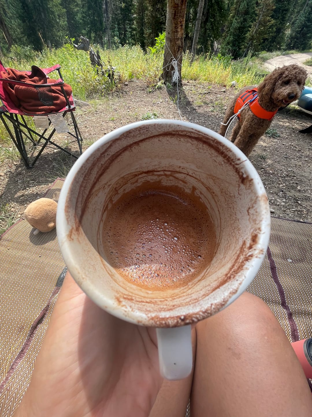 Customer photo review of 100% Arriba Nacional Ceremonial Cacao Pouch, Organic (granulated)