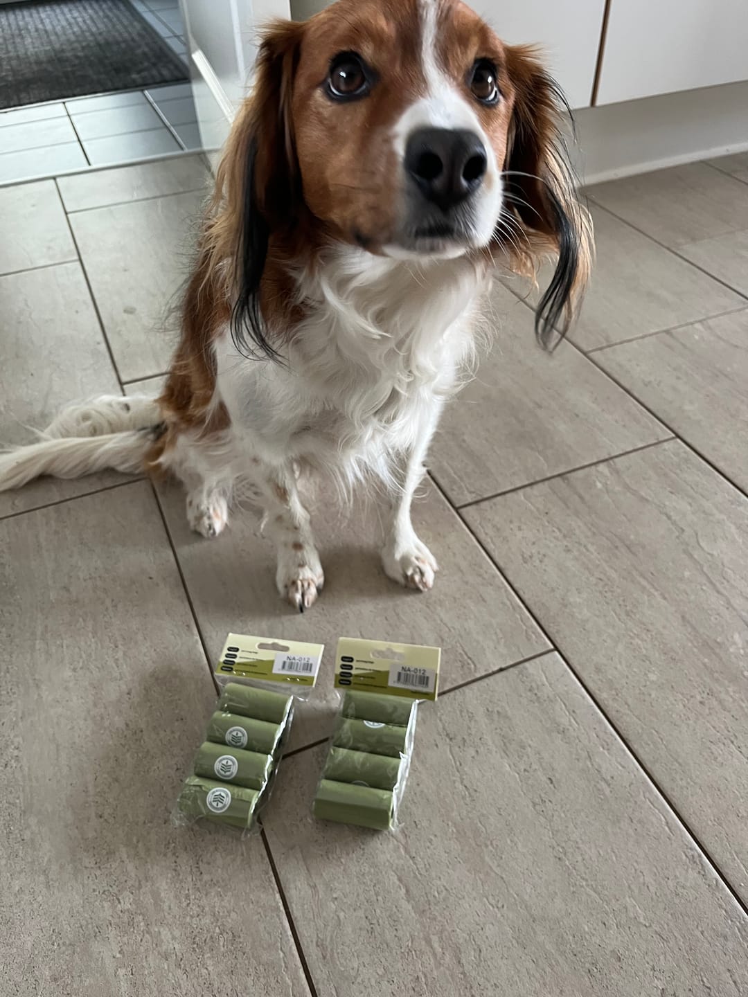Customer photo review of Bionedbrydelige Hundeposer 4x15stk.