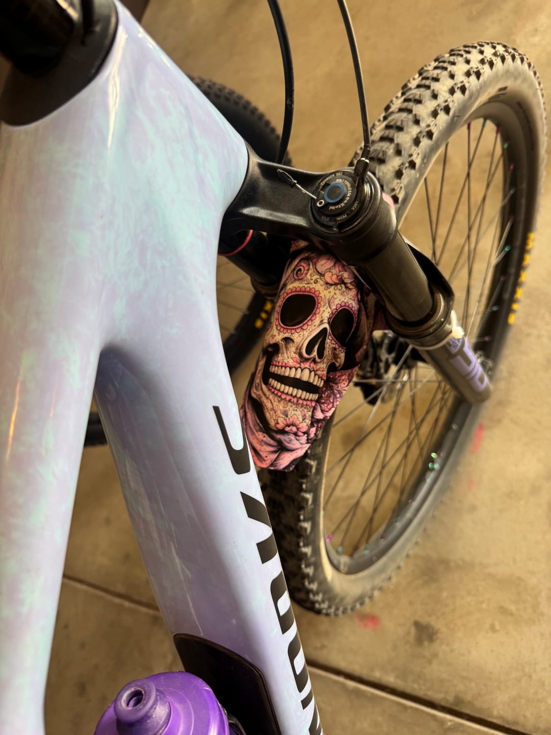 Customer photo review of Custom Fender