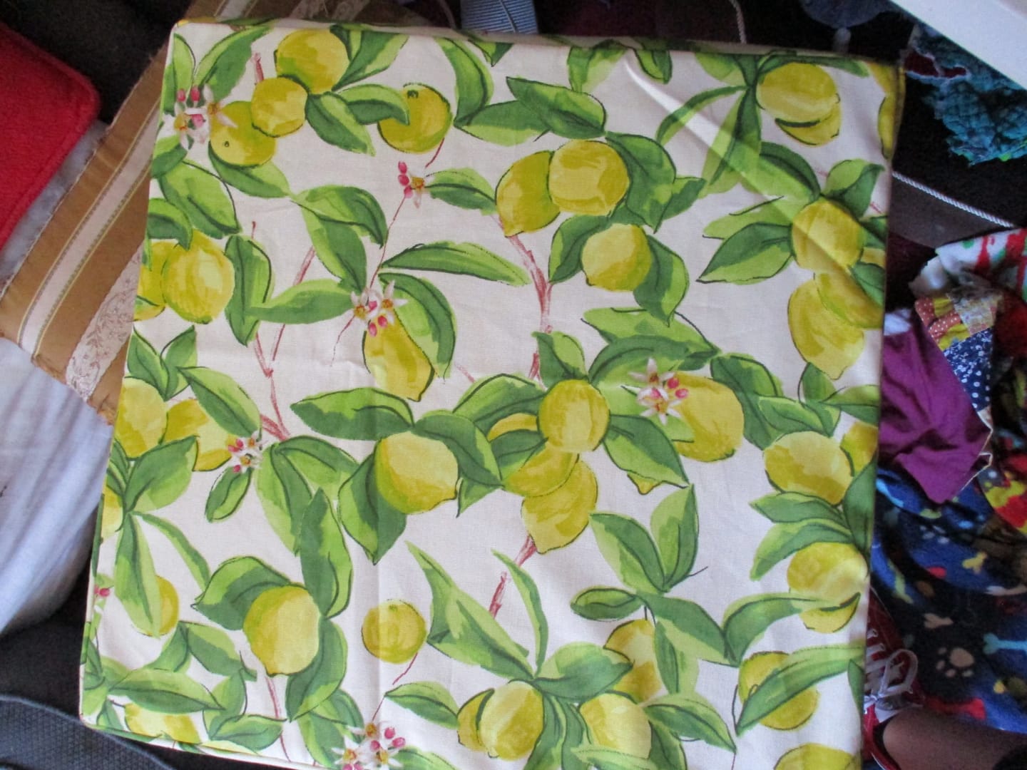 Customer photo review of Lemon Pop Cotton Canvas Fabric