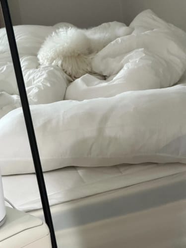 Customer photo review of Hotel Pillow – 5-Star Three-Dimensional Sleeping Pillow