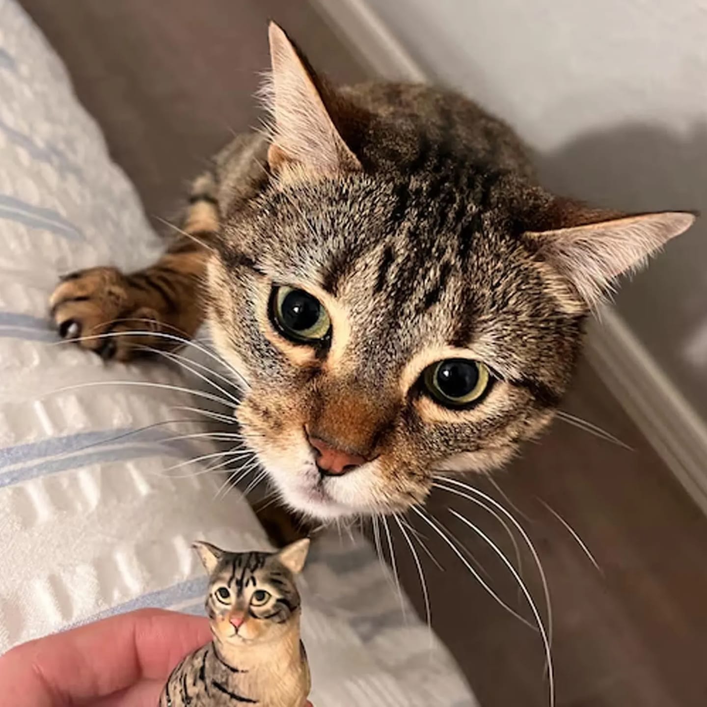Customer photo review of Custom Handmade Polymer Clay Pet Figurine
