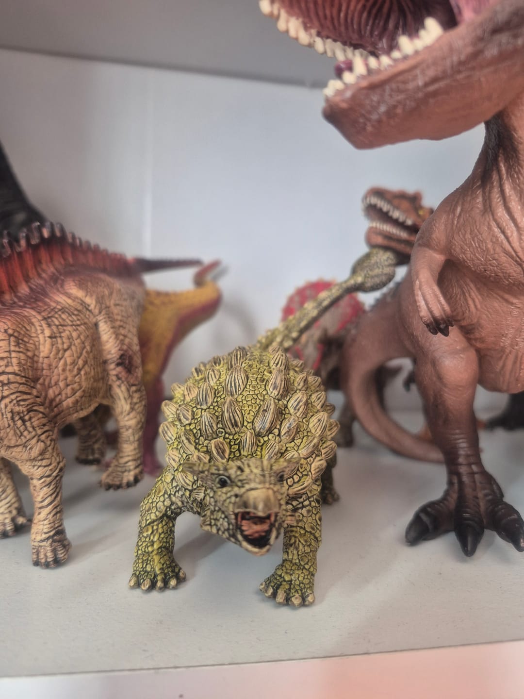 Customer photo review of Ankylosaurus coleccionable Dinosaurs - Schleich