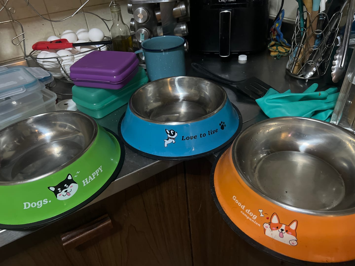Customer photo review of CT2419 1 Pieza De Tazon Para Mascota