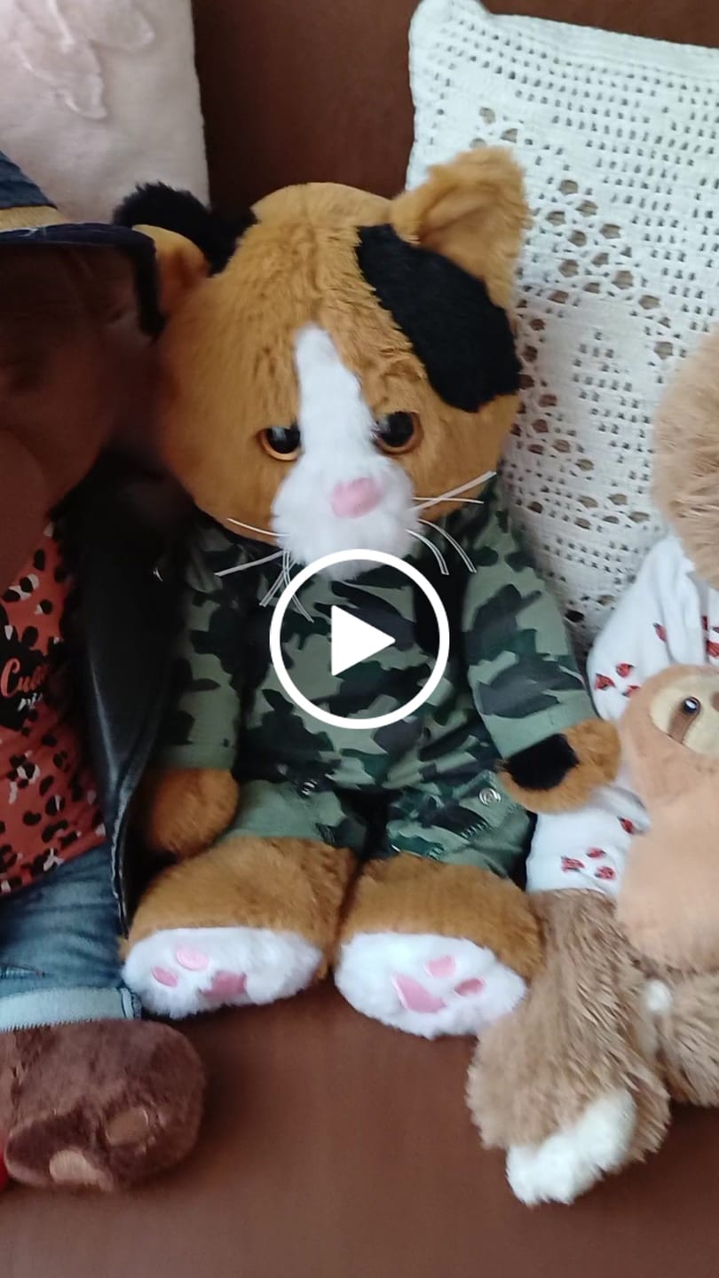 Customer video review of Verzwaringsknuffel Kat 2,2 kg