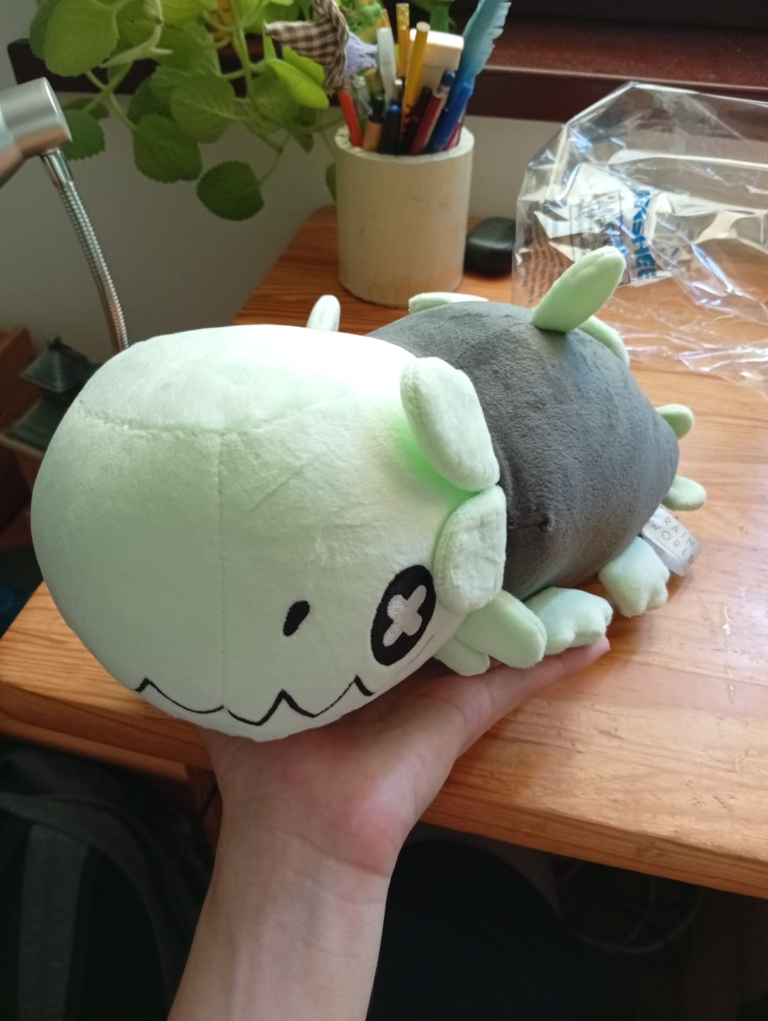Customer photo review of Rain World - Glowing Green Lizard Plush