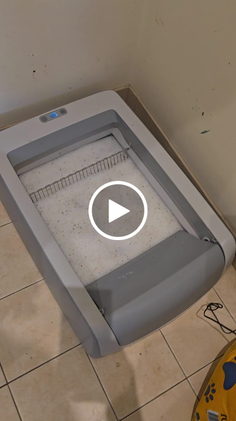 Customer video review of Fit Litter